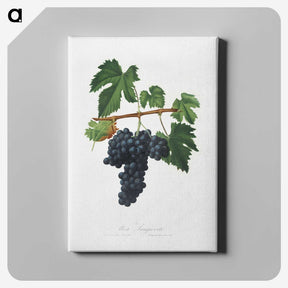 2-9_Pomona-Italiana_canvas