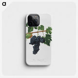 2-9_Pomona-Italiana_phone