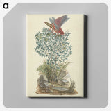 2-9_Robert-Jacob-Gordon_canvas