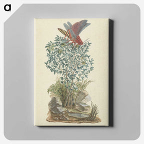 2-9_Robert-Jacob-Gordon_canvas