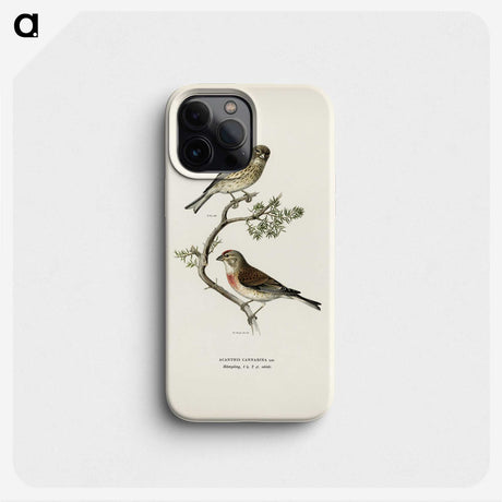 2-9_Svenska-Faglar_phone