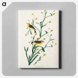 アートパネル-Yellow Red-poll Warbler from Birds of America
 - アメリカの鳥たち Canvas.