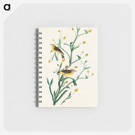 アートメモ帳-Yellow Red-poll Warbler from Birds of America
 - アメリカの鳥たち Memo.