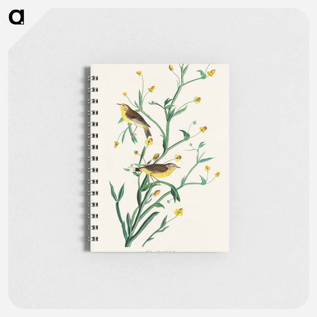 アートメモ帳-Yellow Red-poll Warbler from Birds of America
 - アメリカの鳥たち Memo.