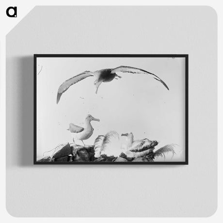 2-9_The-Burton-Brothers_blk-crop