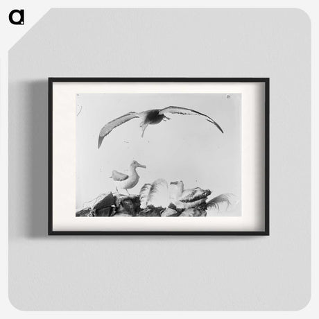 2-9_The-Burton-Brothers_blk