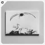 2-9_The-Burton-Brothers_canvas