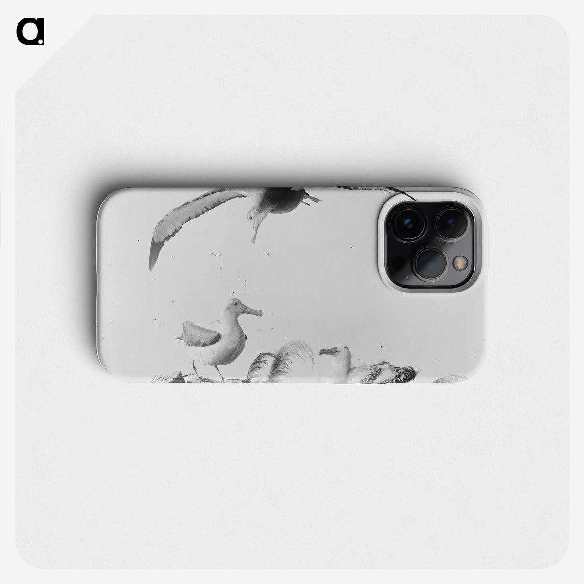 2-9_The-Burton-Brothers_phone