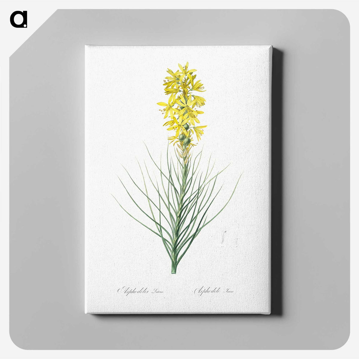 2-9_The-Lilies_canvas