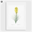 2-9_The-Lilies_picture