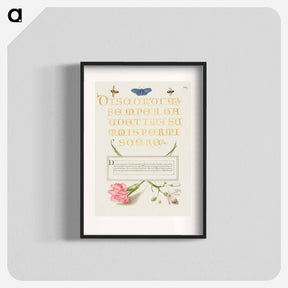 アートポスター-Insects, Carnation, and Judas Tree
 - 書道のお手本 Poster.