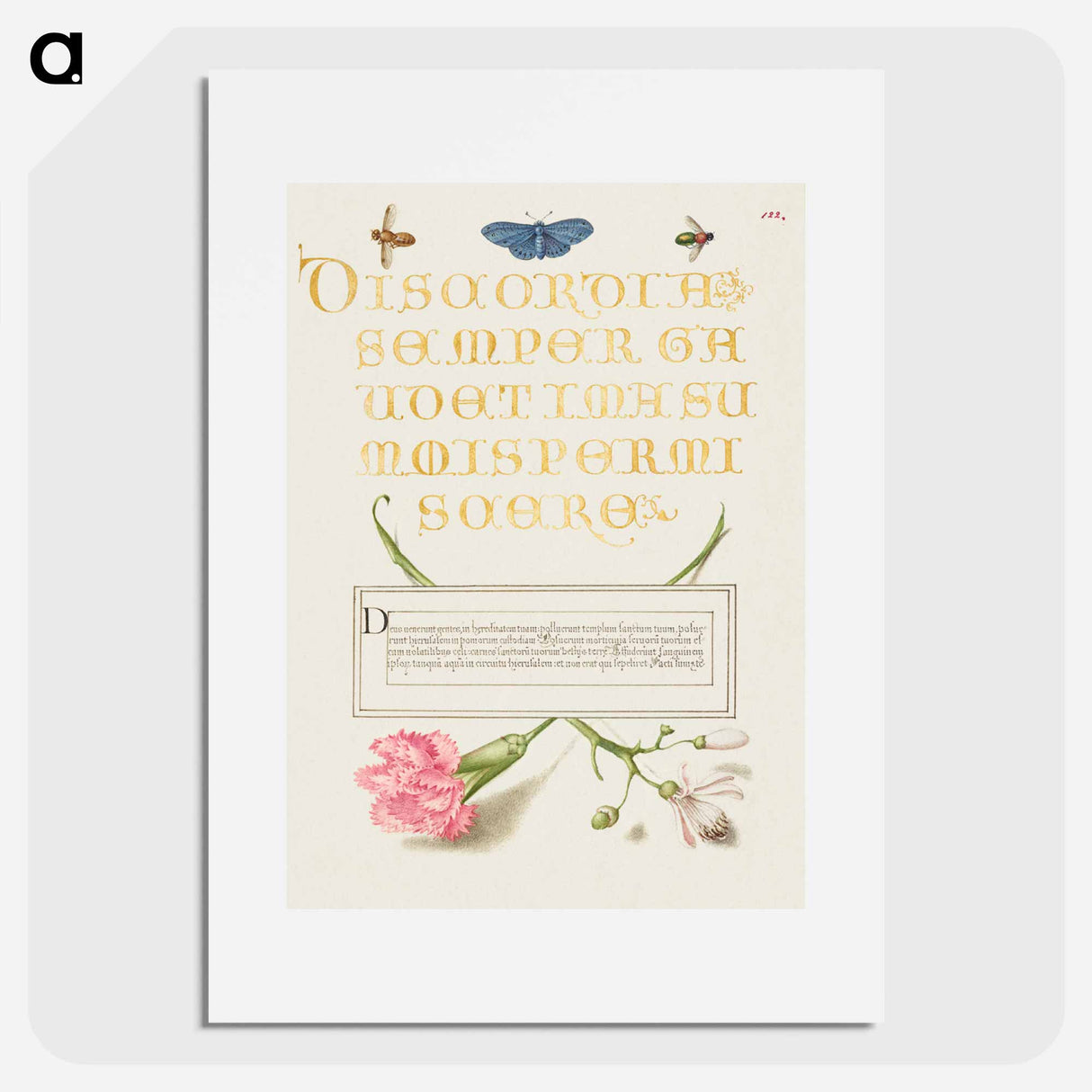 アートポスター-Insects, Carnation, and Judas Tree
 - 書道のお手本 Poster.