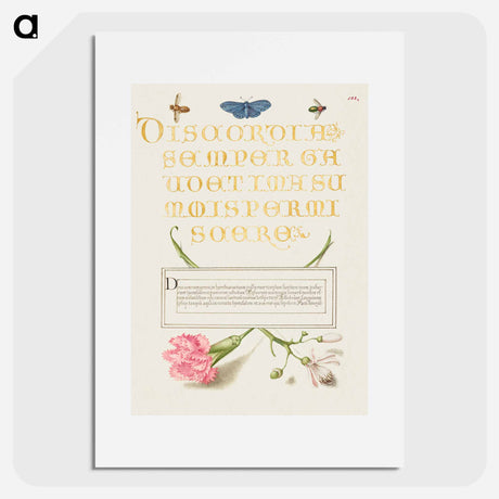 アートポスター-Insects, Carnation, and Judas Tree
 - 書道のお手本 Poster.