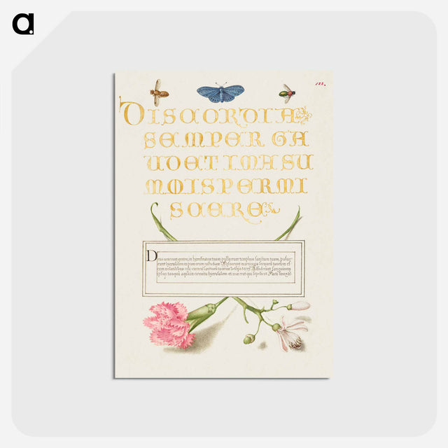 アートポストカード-Insects, Carnation, and Judas Tree
 - 書道のお手本 Postcard.