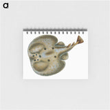 2-9_The-Natural-History-of-British-Fishes_memo