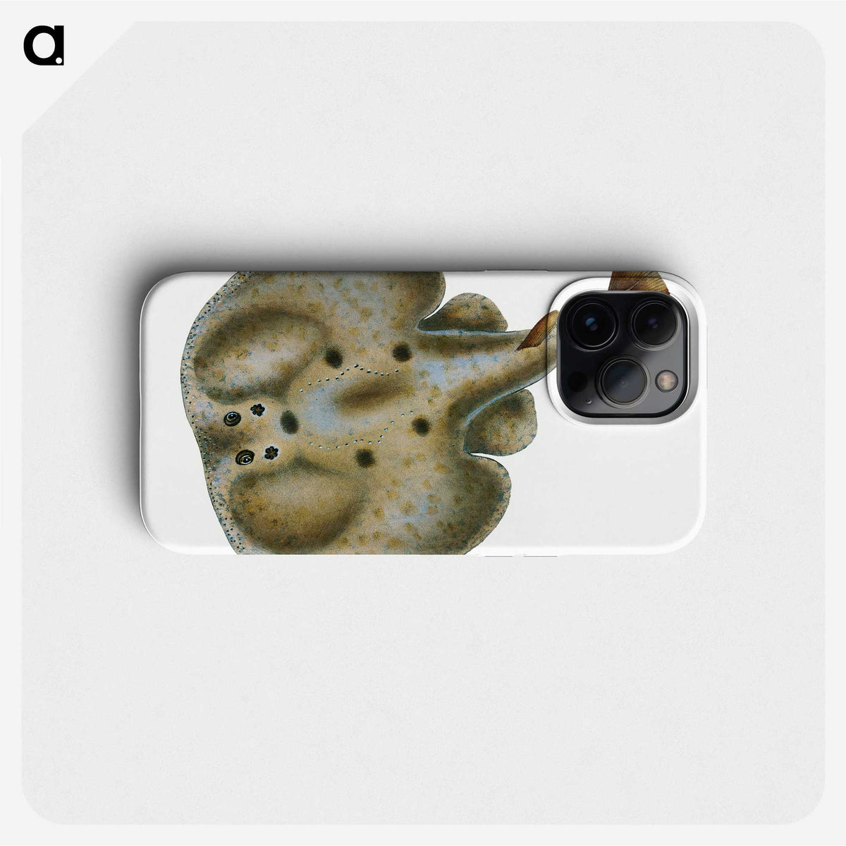 2-9_The-Natural-History-of-British-Fishes_phone