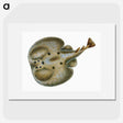 2-9_The-Natural-History-of-British-Fishes_picture