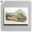 2-9_The-Viviparous-Quadrupeds_canvas