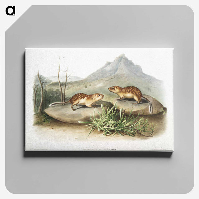 2-9_The-Viviparous-Quadrupeds_canvas