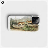 2-9_The-Viviparous-Quadrupeds_phone