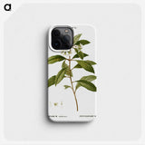 2-9_Treatise-on-Trees-and-Shrubs_phone