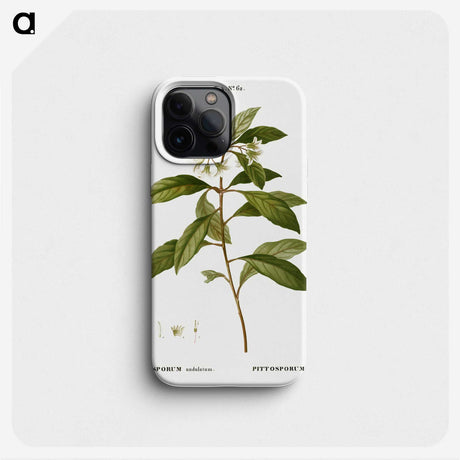 2-9_Treatise-on-Trees-and-Shrubs_phone