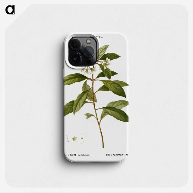 2-9_Treatise-on-Trees-and-Shrubs_phone