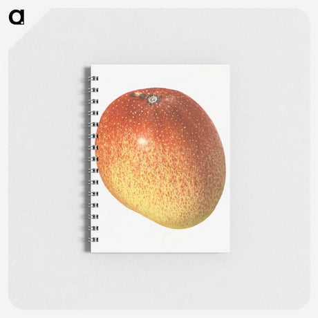 2-9_USDA-Watercolor-Fruit-Painting-Collection_memo