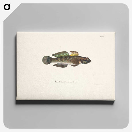 2-9_Wilhelm-von-Wright_canvas