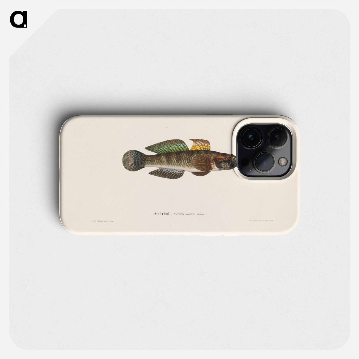 Black goby - Wilhelm von Wright Phone Case.