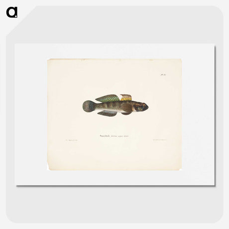 2-9_Wilhelm-von-Wright_picture