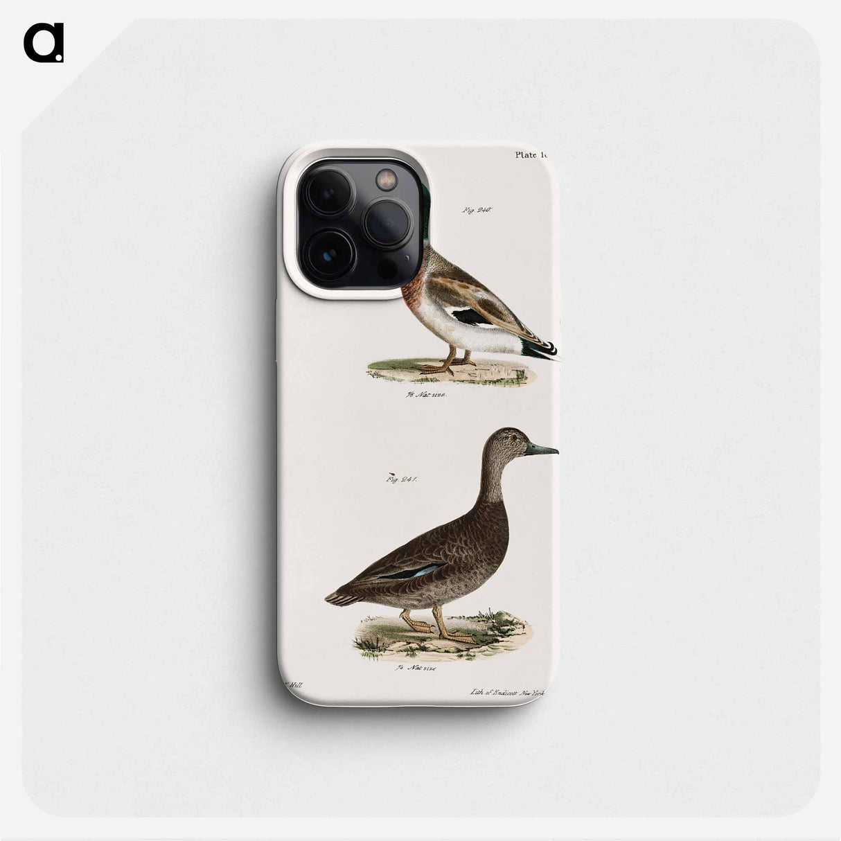 Mallard (Anas boschas) 241. Black Duck (Anas obscura) illustration from Zoology of New York by James Ellsworth De Kay - ニューヨークの動物学 Phone Case.