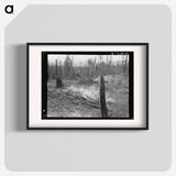 Family work, clearing land by burning - Dorothea Lange Poster.