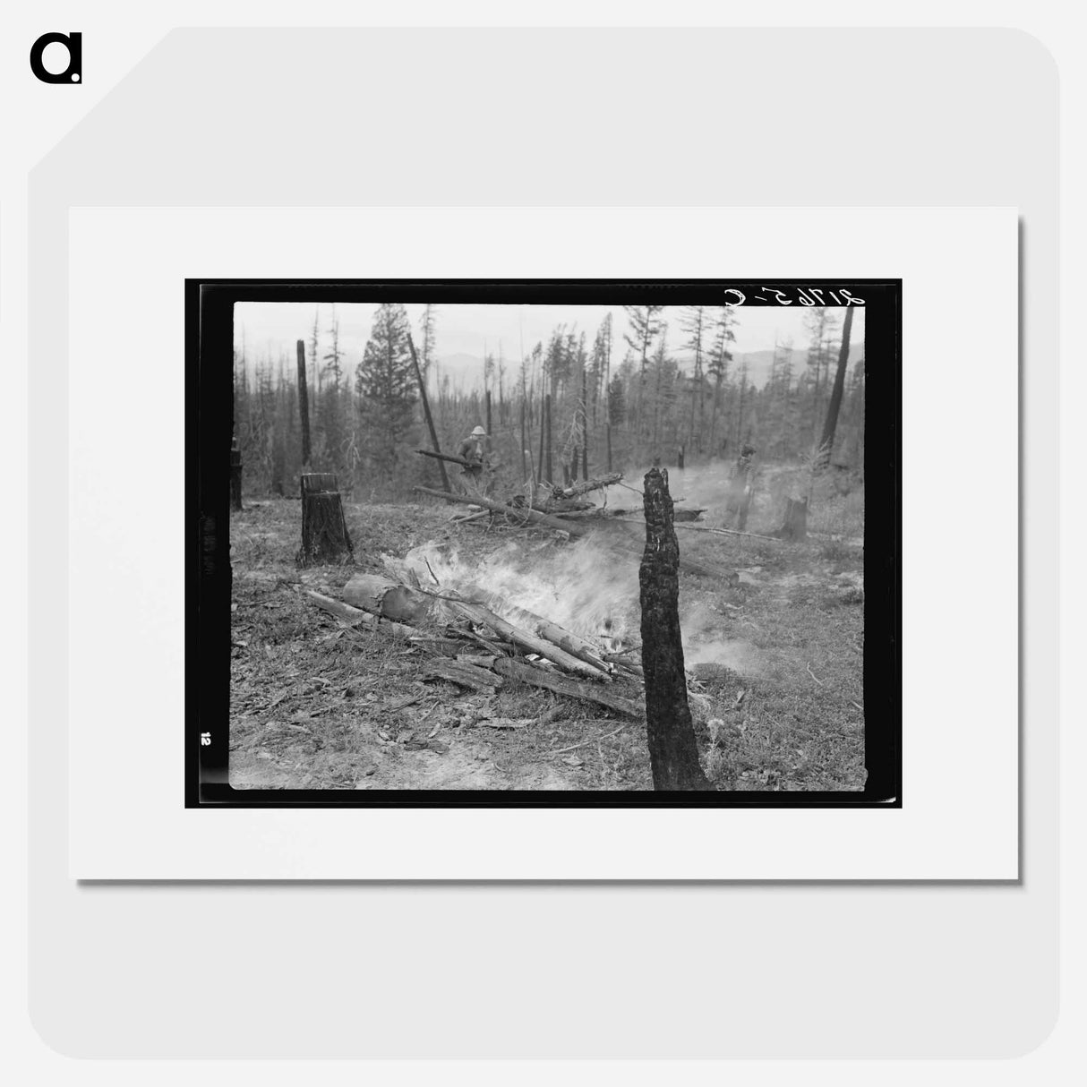 Family work, clearing land by burning - Dorothea Lange Poster.