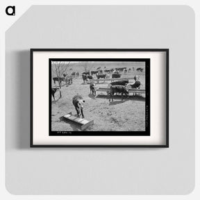 アートポスター-Cattle at Feeding Trough
 - ラッセル リー Poster.