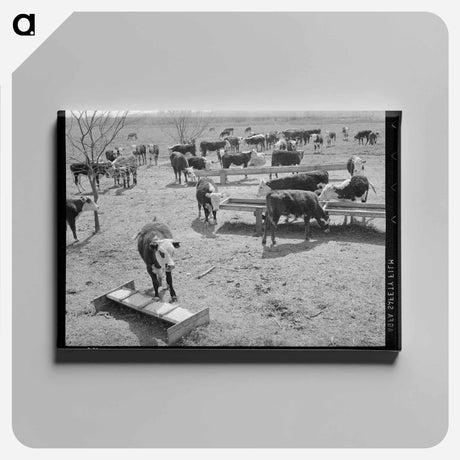 アートパネル-Cattle at Feeding Trough
 - ラッセル リー Canvas.