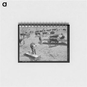アートメモ帳-Cattle at Feeding Trough
 - ラッセル リー Memo.
