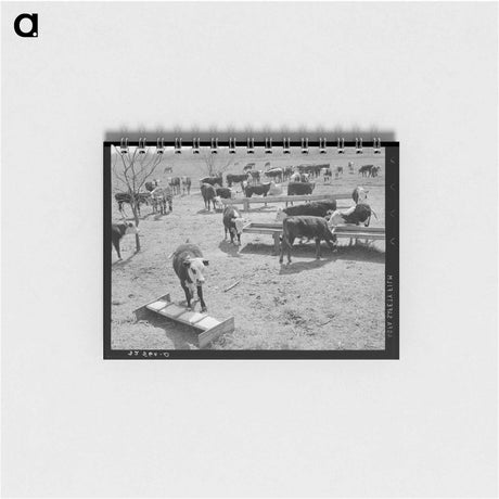 アートメモ帳-Cattle at Feeding Trough
 - ラッセル リー Memo.