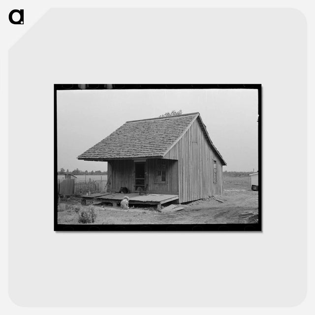 アートポストカード-Sharecropper Cabin
 - ラッセル リー Postcard.