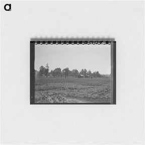 アートメモ帳-Delta cooperative farms. Hillhouse, Mississippi. - ドロテア ラング Memo.