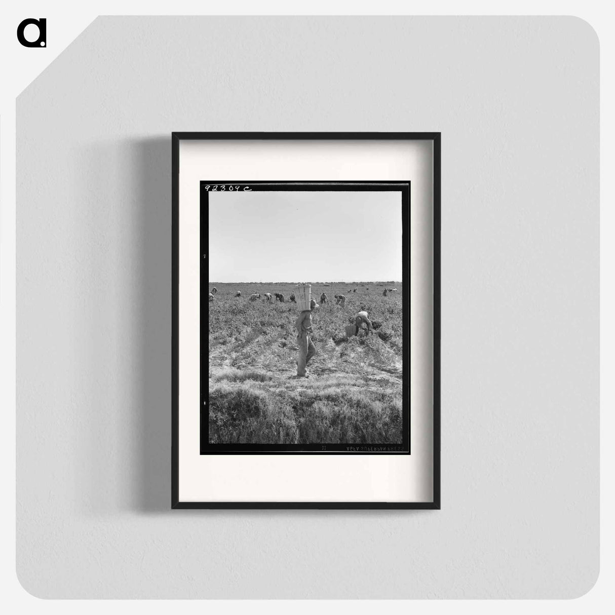 Untitled photo, possibly related to: Pea pickers near Calipatria, California - ドロテア ラング Poster.