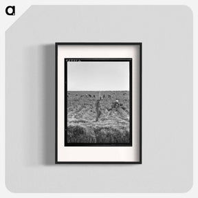 アートポスター-Untitled photo, possibly related to: Pea pickers near Calipatria, California - ドロテア ラング Poster.