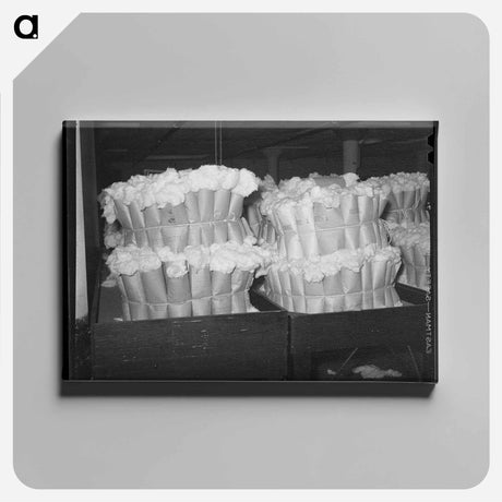 アートパネル-Certified Cotton Samples
 - ラッセル リー Canvas.