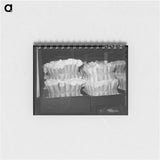 アートメモ帳-Certified Cotton Samples
 - ラッセル リー Memo.