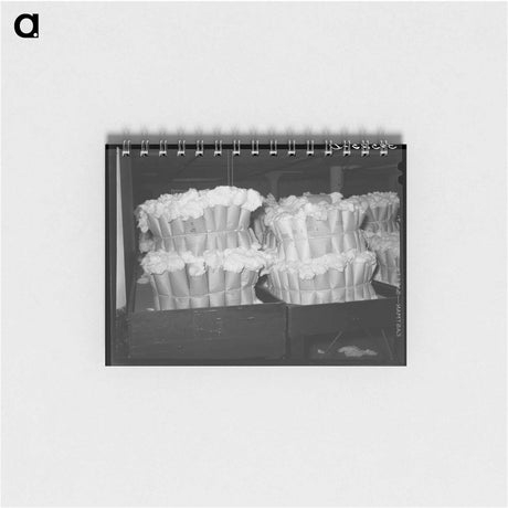 アートメモ帳-Certified Cotton Samples
 - ラッセル リー Memo.