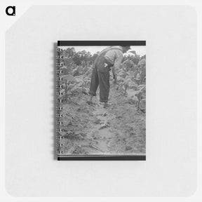 アートメモ帳-Untitled photo - ドロテア ラング Memo.