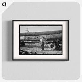 アートポスター-Logs on Truck, Tillamook, Oregon
 - ラッセル リー Poster.