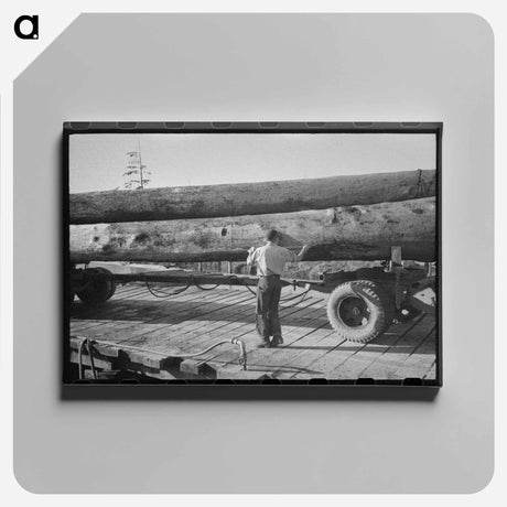 アートパネル-Logs on Truck, Tillamook, Oregon
 - ラッセル リー Canvas.