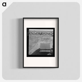 アートポスター-Farm Security Administration (FSA) migratory labor camp. Calipatria, Imperial Valley, California. - ドロテア ラング Poster.
