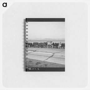 アートメモ帳-Untitled photo - ドロテア ラング Memo.